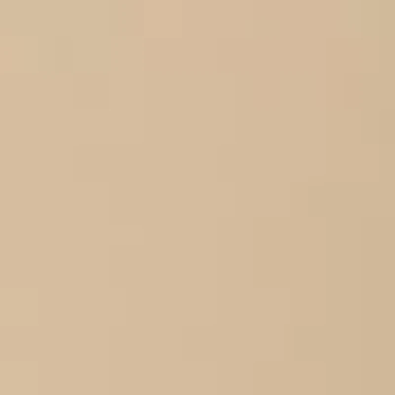 Double Control Panty