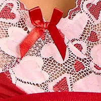 Corey 2PC Heart Lace and Princess Seam Babydoll Set Lingerie