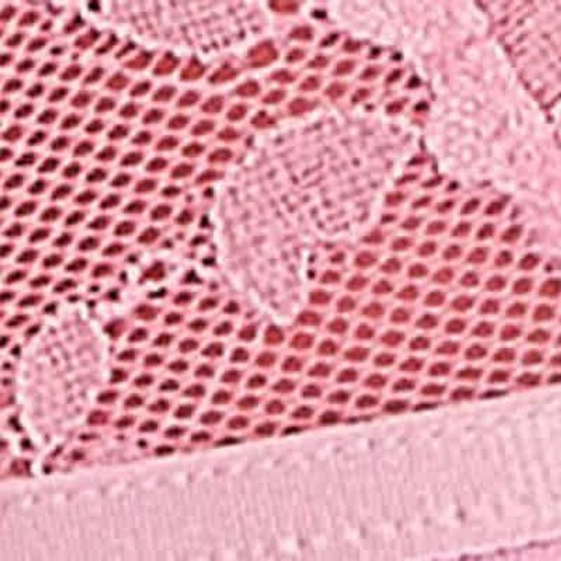 Kendra 2PC Floral Lace & Ruffled Mesh Bralet Set Intimates