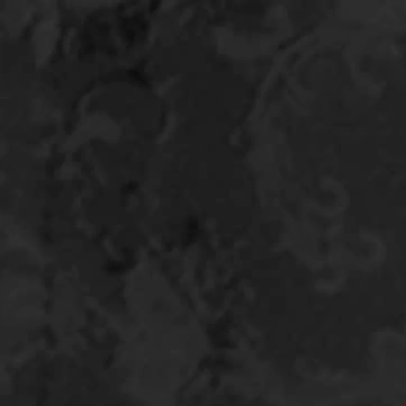 Plus Harley Brocade Racerback Corset Set