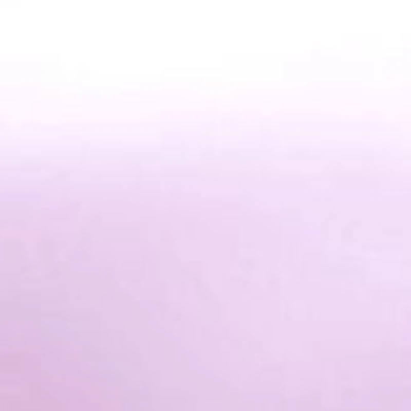 Plus Gloria 2-Piece Satin Lace Choker Bra Set