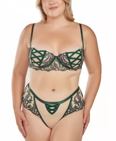 Women's Plus 2PC Embroidered Mesh Underwire Bra and Panty Lingerie Set
