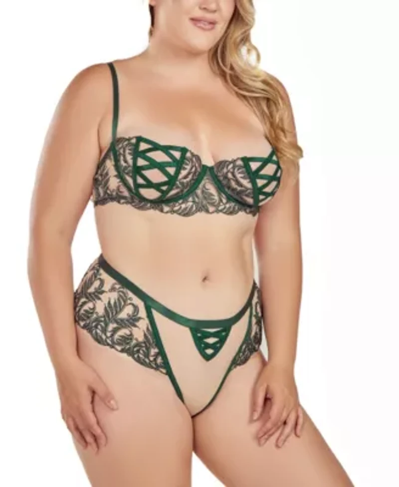 Women's Plus 2PC Embroidered Mesh Underwire Bra and Panty Lingerie Set