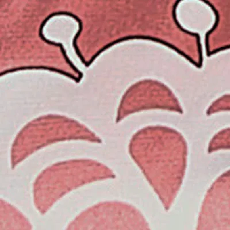 Women's Floral Stretch-Woven Long Sleeve Robe