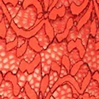 Tammy Allover Sheer Non Support Soft Lace Teddy W/ Trim and Center Adjustable Strap