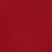 Micro & Mesh Teddy Bodysuit with Ruching Appliqué