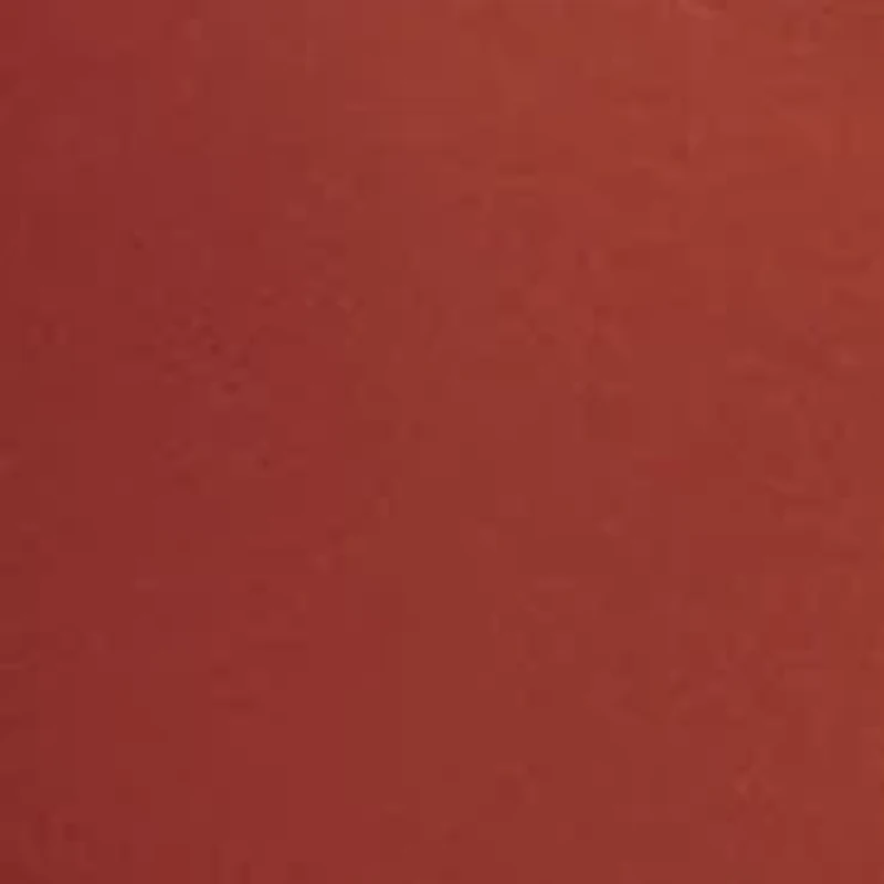 Plus Selena Lace and Mesh Bodysuit