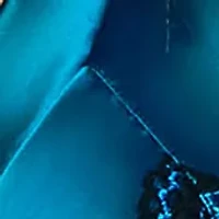 Plus Sasha High Waist Bralette Set