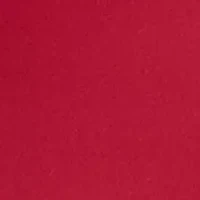 Women's Long Sleeve Pajama Top