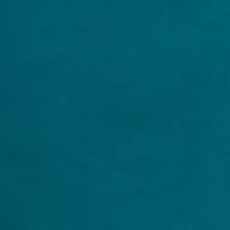 Women's Holiday Lights Solid Long Sleeve Top