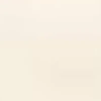 Body Briefer- Light Shaping