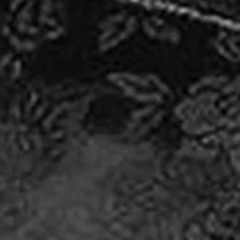 Full Figure Wire Bra