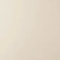 Body Silk Seamless Full Cup Nursing Bra
