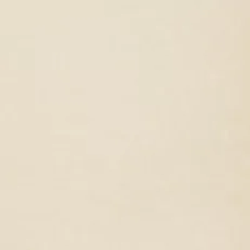 Ultimate Slimmer Wear Your Own Bra  - 2656