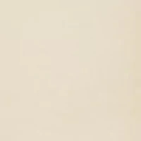 Ultimate Slimmer Wear Your Own Bra  - 2656