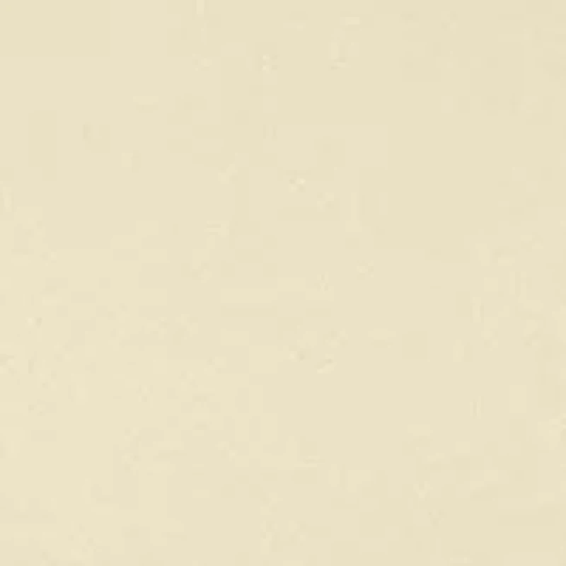 Seamless Shaping Shorts