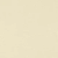 Seamless Shaping Shorts