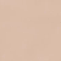 Chosen One Lace Bikini Panty