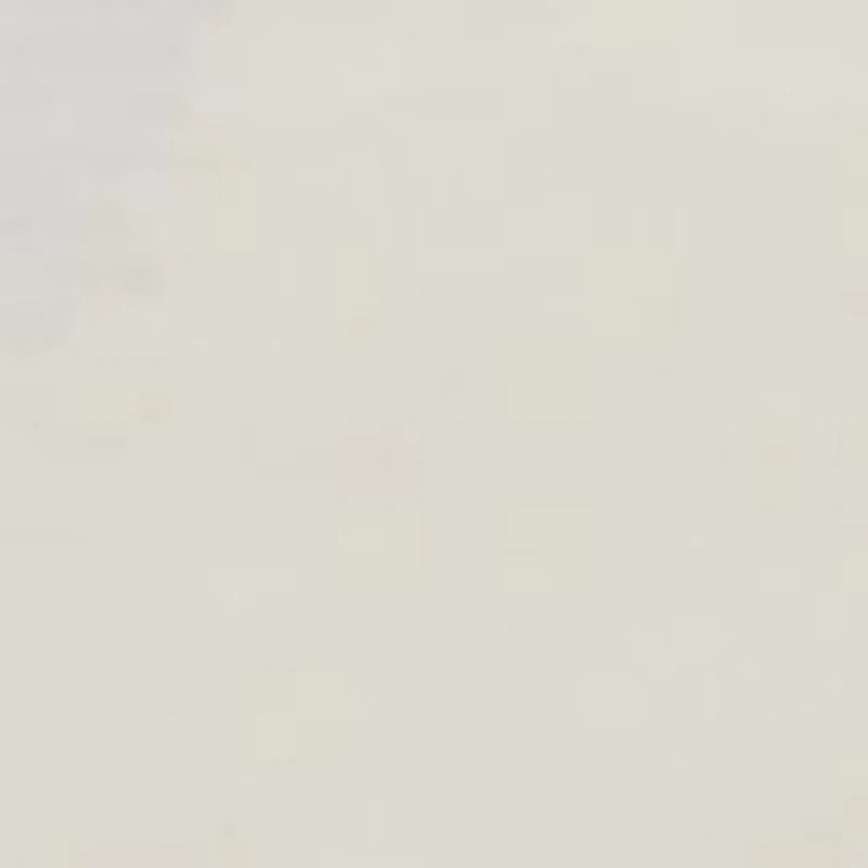 Chosen One Lace Bikini Panty