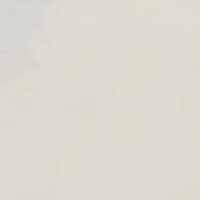 Chosen One Lace Bikini Panty