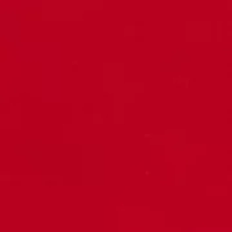 Chosen One Lace Bikini Panty