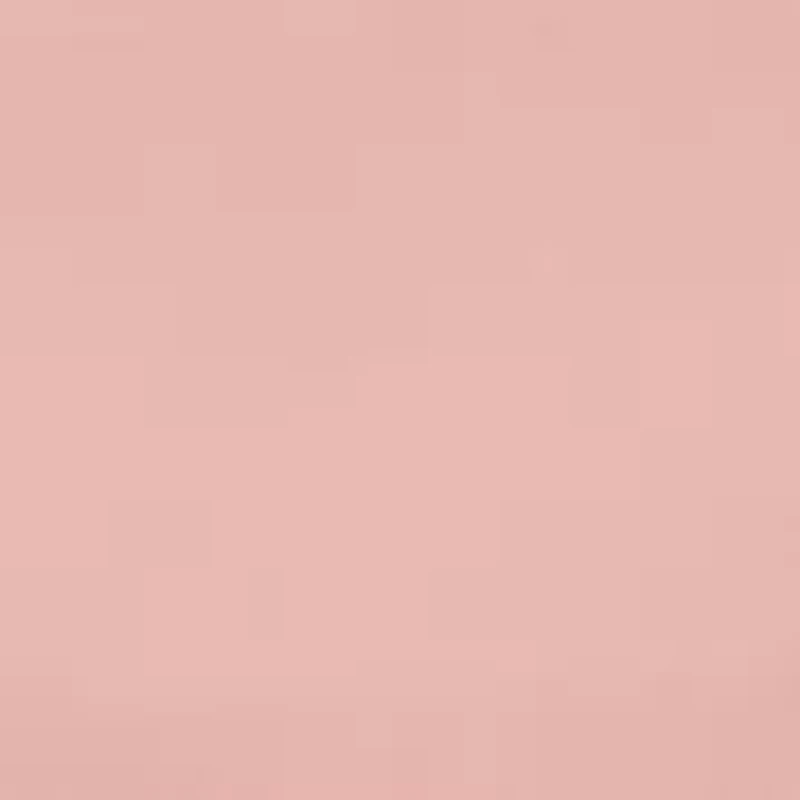 Chosen One Lace Bikini Panty