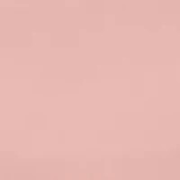 Chosen One Lace Bikini Panty