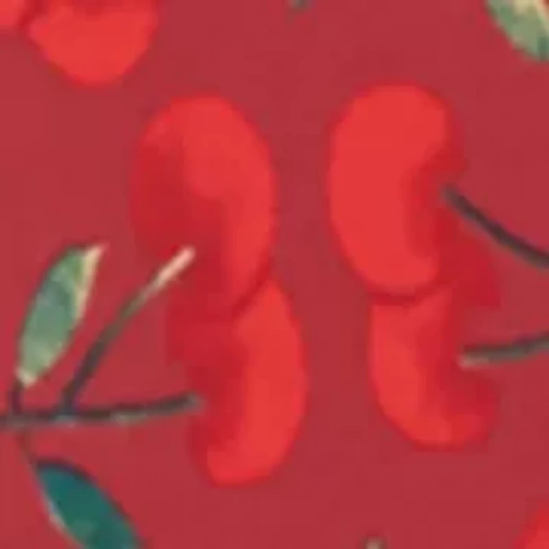 It Factor String Bikini Panty