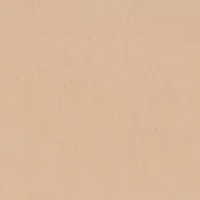 Shinetastic Mesh Bikini Panty