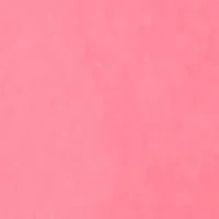 Seamless Scallop Bikini Panty