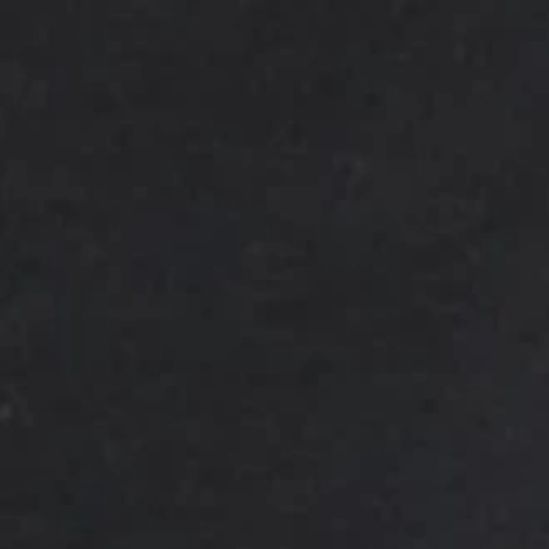 Alice Seamless High Cut Panty