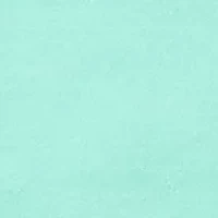 Alice Seamless High Cut Panty