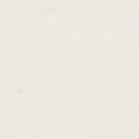 Scalloped Edge High Cut Briefs