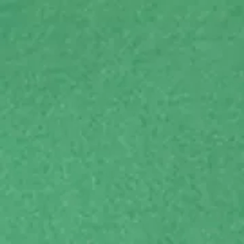 Seamless Scallop Hi-Cut Panties