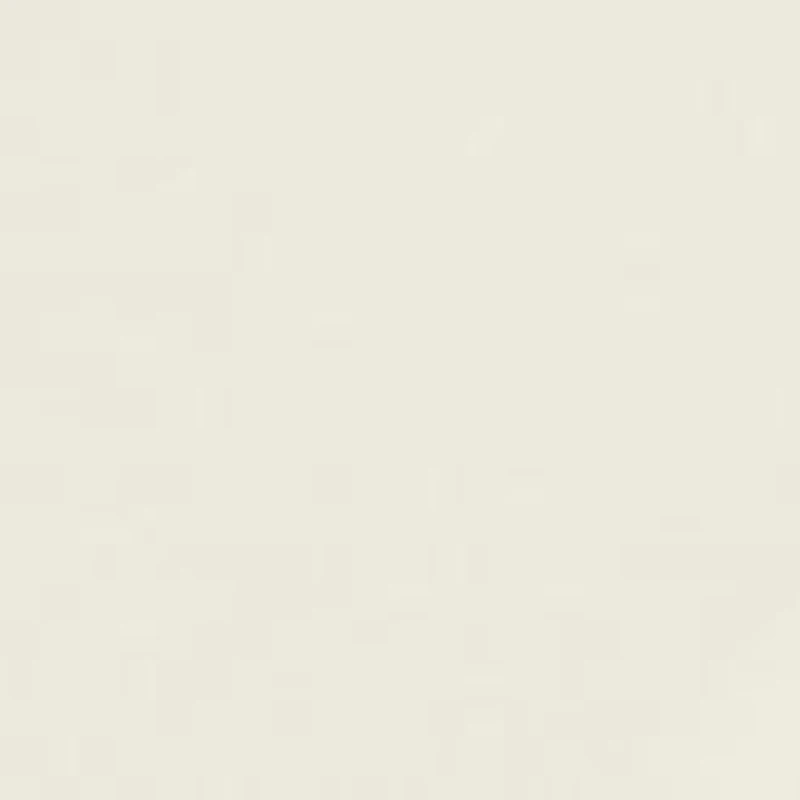 Chosen One Fused Lace Hipster Underwear