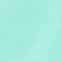 Alice Seamless Hipster Panty