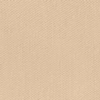 Shinetastic Mesh Hipster