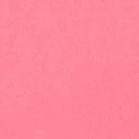 Seamless Scallop Hipster Panty