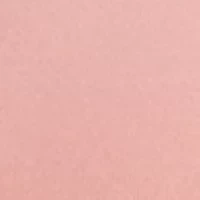 Plus Everyday Comfort Wireless Adjustable Shaping Bra