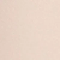 High Waisted Shaper Shorts