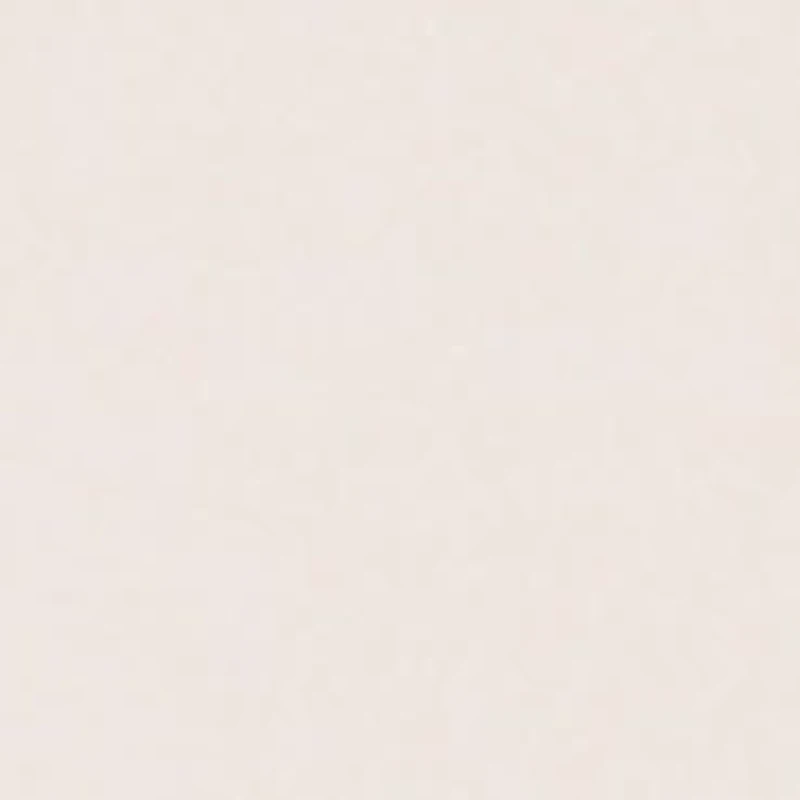 All Day Every Scoop Neck Cami