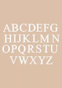 Personalized Unisex Terry Bathrobe