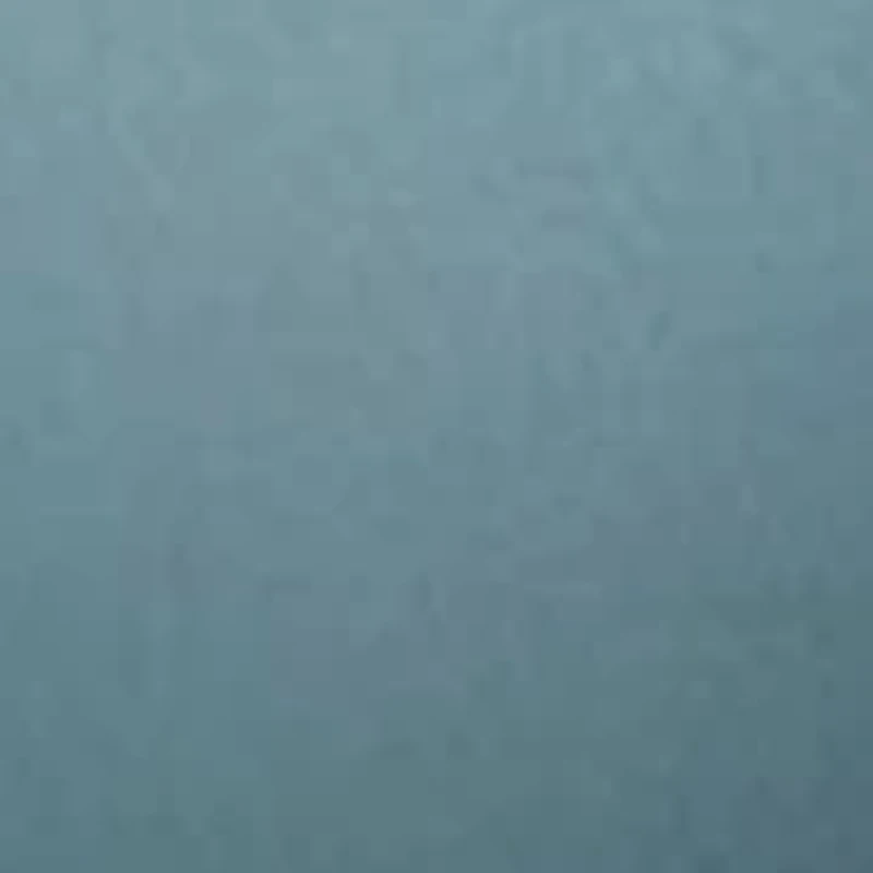 Fine Italian Mesh Bikini Panty