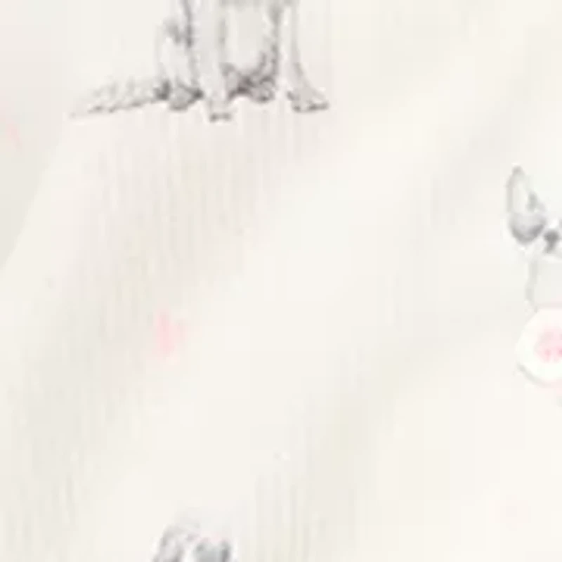 Women's Short Sleeve and Pants Pajama Set