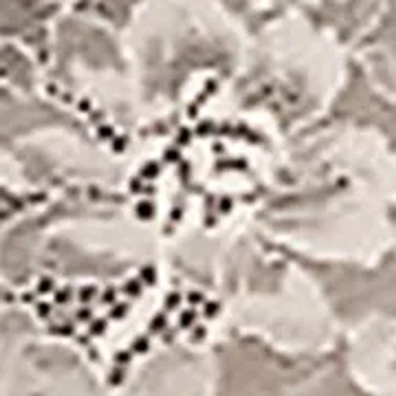 Lace Hipster Brief