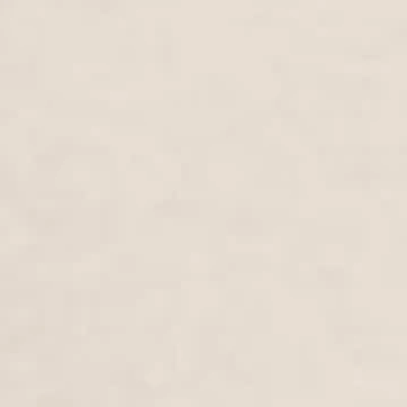 Cotton & Lace Jersey Bikini Brief