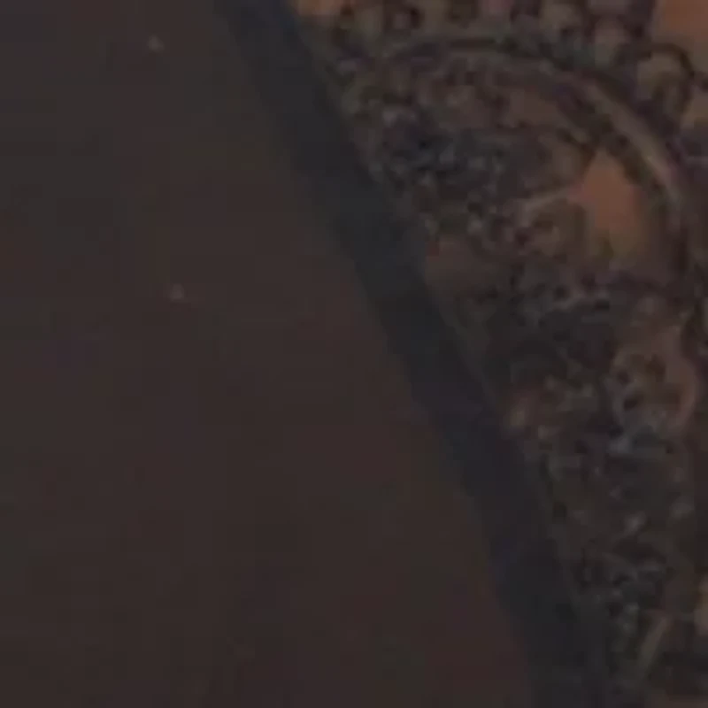 Paisley-Embroidered Bikini Brief