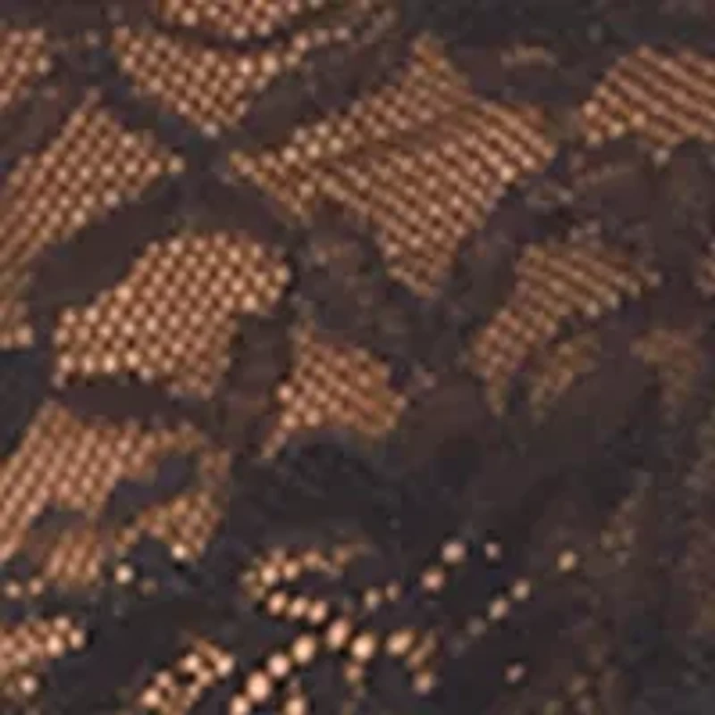 Lace Sequin Hipster Panty