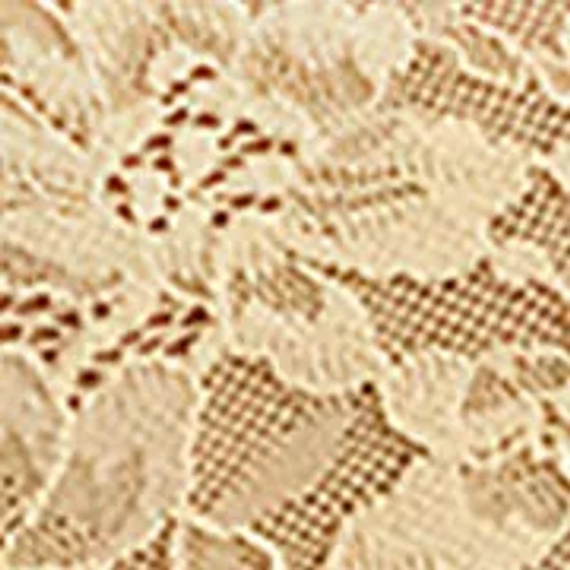 Lace Hi-Cut Panty