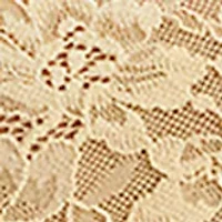 Lace Hi-Cut Panty